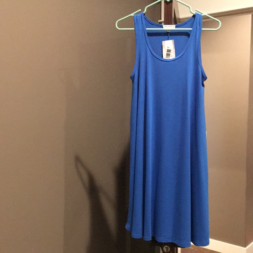 NWT Blue dress small Women’s or Juniors Zenana